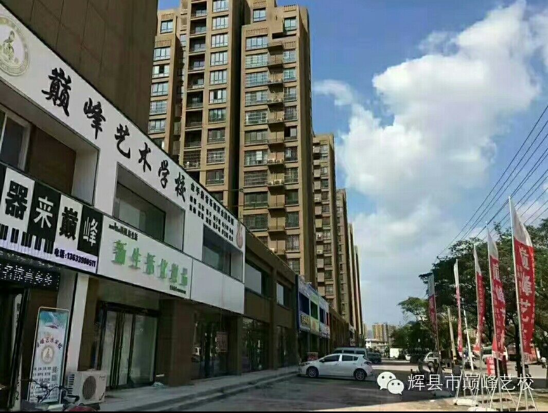 河南巅峰音乐教育集团